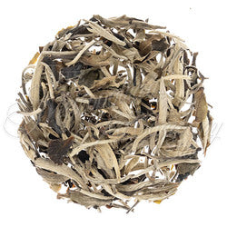 Tangiers Lemon